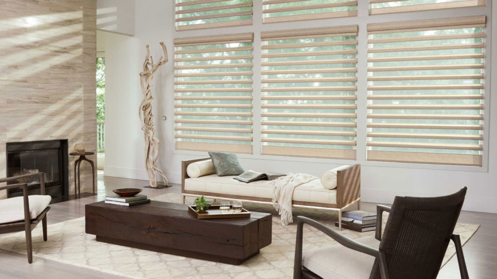 Hunter Douglas Pirouette Shades